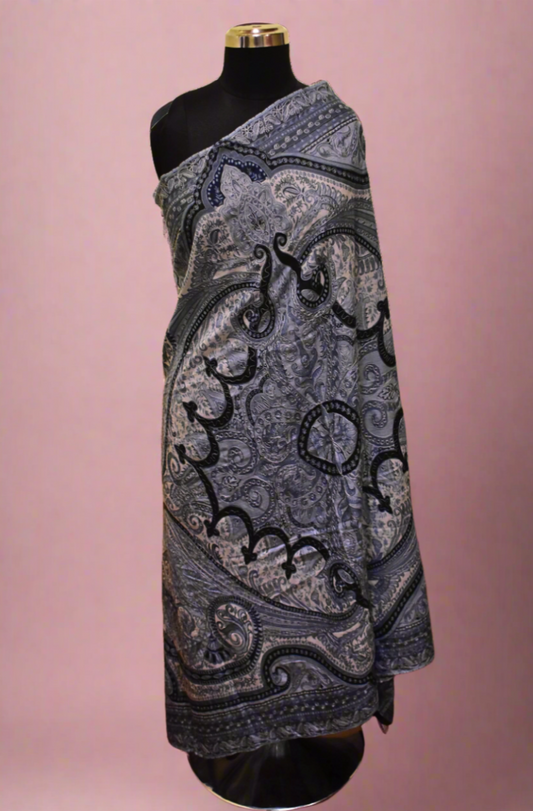 Eclipse Veil Kalamkari Shawl