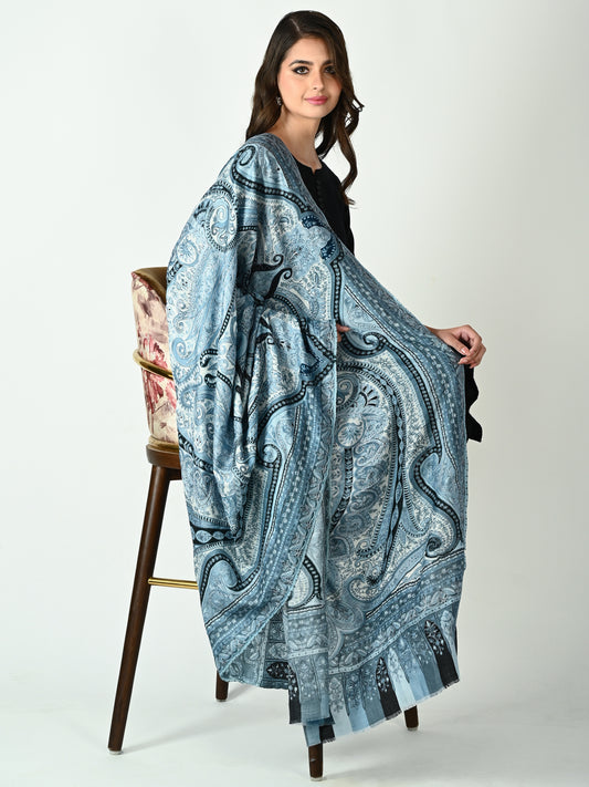 Eclipse Veil Kalamkari Shawl