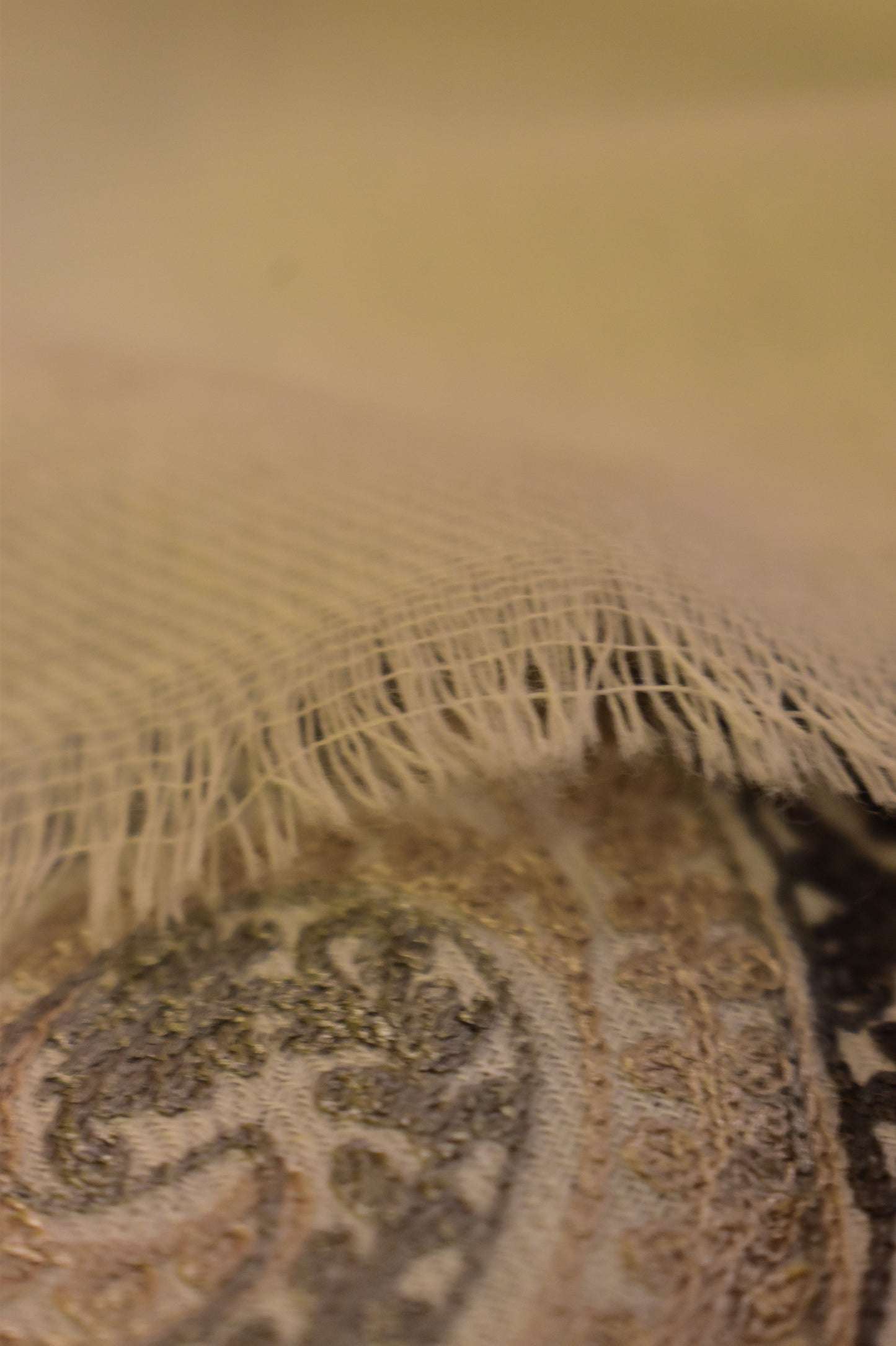 Chinar by PC - White