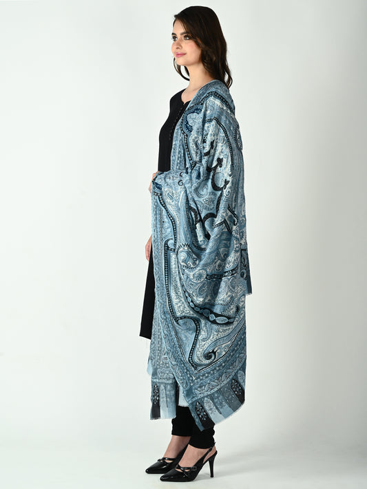 Eclipse Veil Kalamkari Shawl