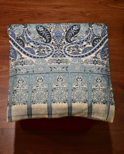 Eclipse Veil Kalamkari Shawl