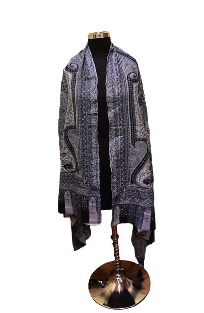Eclipse Veil Kalamkari Shawl