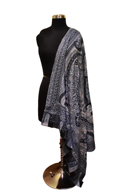 Eclipse Veil Kalamkari Shawl